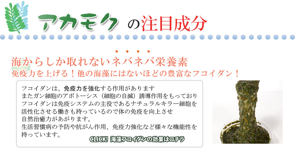 フコイダンの力